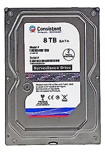 CONSISTENT 8TB HARD DISK